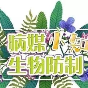 【安全宣传】榆阳区牛家梁镇中心幼儿园病媒生物防控知识宣传