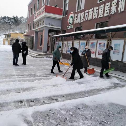 除雪护平安，志愿暖人心 -万新街道万顺社区集中除雪活动纪实