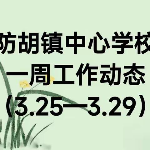 砖寨营镇中心校苏村联校一周工作动态