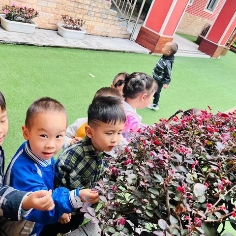 凯蒂😺二班10月主题活动《颜色蹦蹦跳》精彩回顾