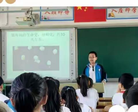 “神奇的独角仙”--机场路小学四(3)中队科学系列活动(一)