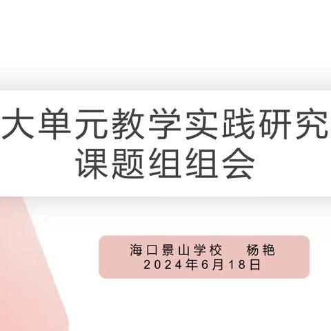 2024年大单元教学实践研究 课题组会