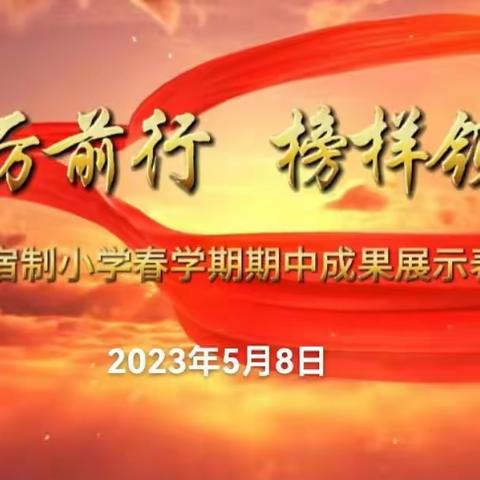 踔厉前行，榜样领航——丰乐镇寄宿制小学举行2023年春期中成果展示表彰大会