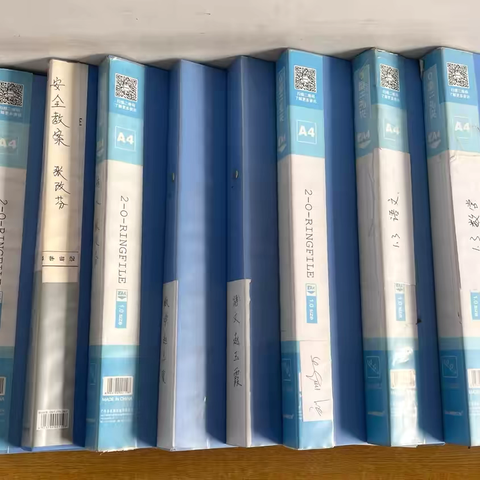 临淇完小二年级一周工作纪实