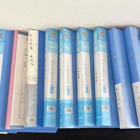 临淇完小二年级一周工作纪实
