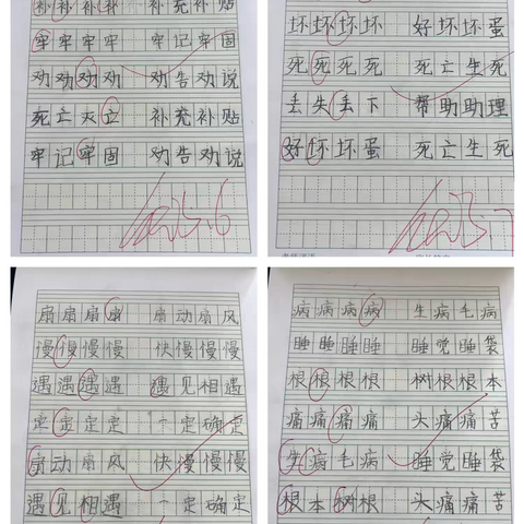 临淇完小二年级一周工作纪实