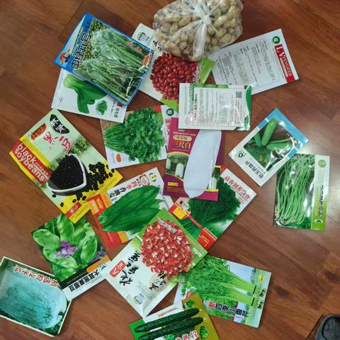 卫新锋名师工作室---路菲农场种菜纪行：以春泥作墨 共绘成长诗篇