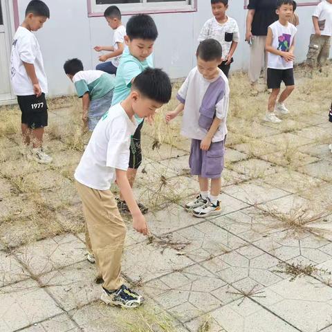 劳动最光荣，实践出真知