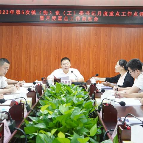 琼山区召开2023年第5次镇（街）党（工）委书记月度重点工作点评会暨6月份重点工作调度会