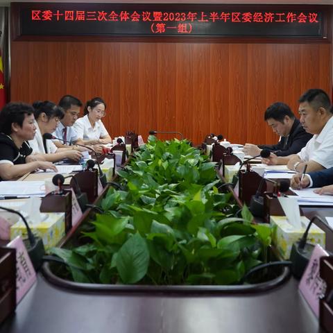 陈昊旻参加琼山区委十四届三次全会分组讨论