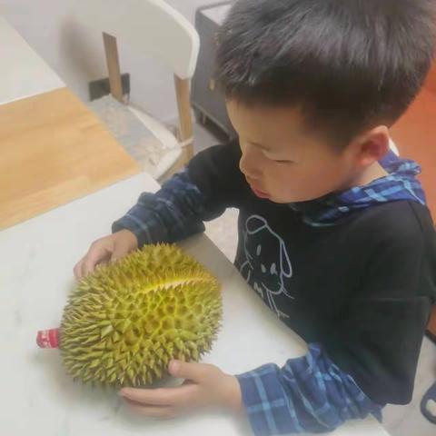 用五官观察水果-榴莲，205班汪子宸