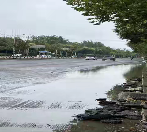 智管中心雨后巡查发现上报问题220件