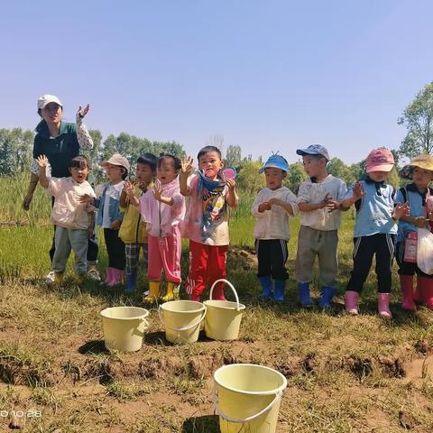 未来贝星幼儿园糖果班【趣自然——浑水摸鱼】户外自然课程