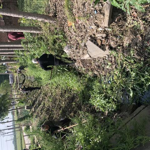 西金城村开展多轮农村人居环境集中整治行动，打造美丽宜居乡村！