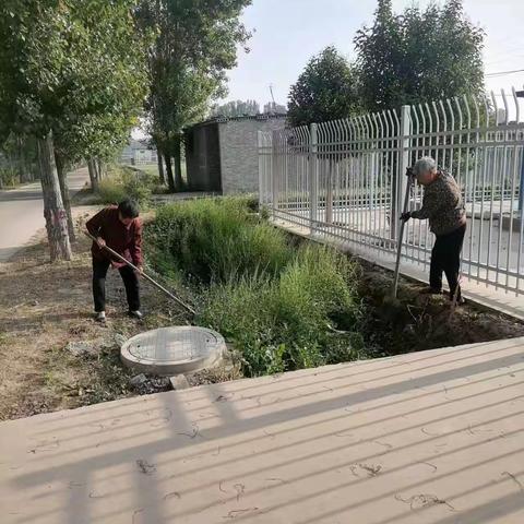 金城乡西金城村：开展人居环境整治 提升美丽乡村“颜值”