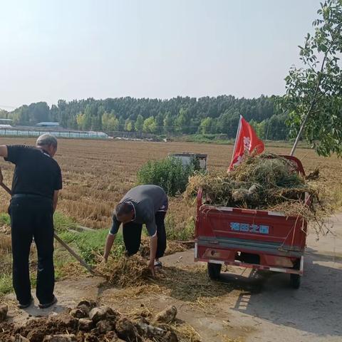 西金城村：人居环境整治“不停歇” 助创“生态宜居星”