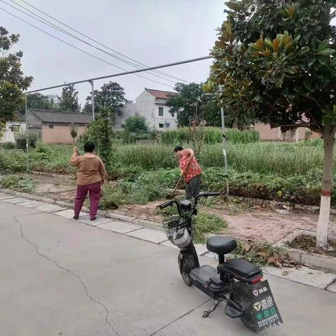 西金城村：人居环境整治 扮靓美丽乡村