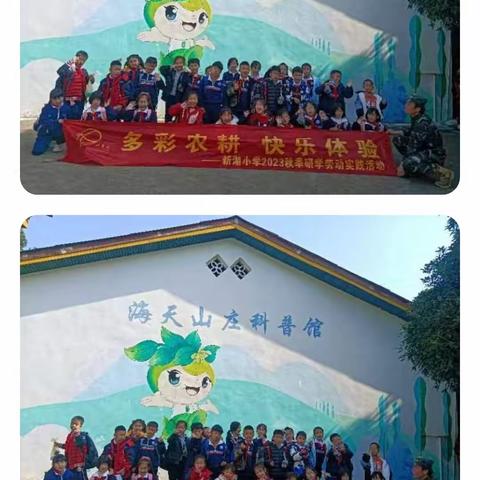 多彩农耕，快乐体验！长沙市新湘小学2023年下学期秋季研学活动