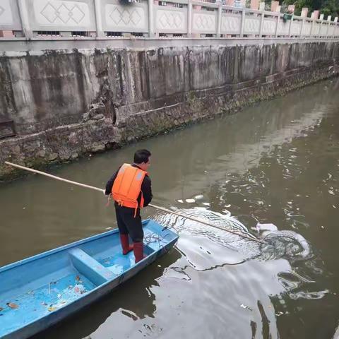 金沙街市政服务所开展全域环境综合整治大行动工作简报