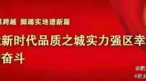 关爱学生，幸福成长——平直规范行为，舒展写就人生    清凉寺小学书写提升活动