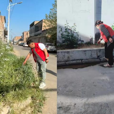 人民街道沋西社区开展禁种铲毒排查行动，织密禁毒“防护网” ‍