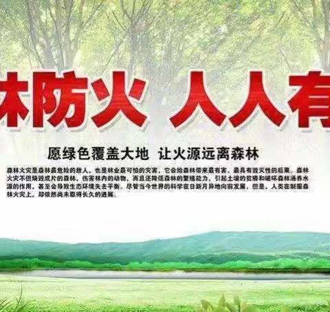 关山林场张家河口管护站：2023年上半年工作总结