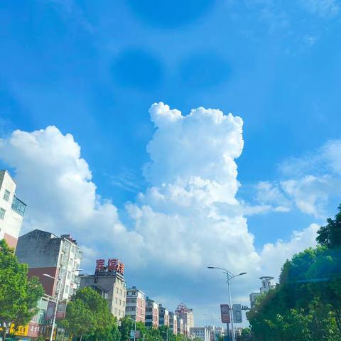 缤纷夏日  “暑”你精彩——司马光外国语小学朗文一（1）班第四周特色作业展示