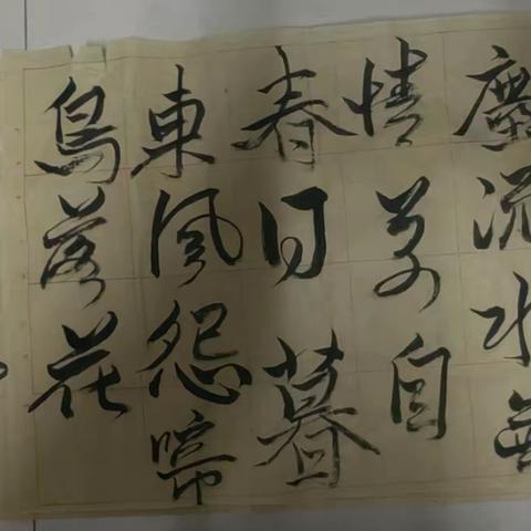 第一学期第14周