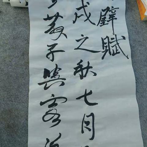 第八周