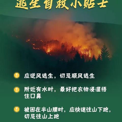 “共同守护绿色家园 筑牢林草生态屏障”——古林箐乡中心学校森林草原防火倡议书