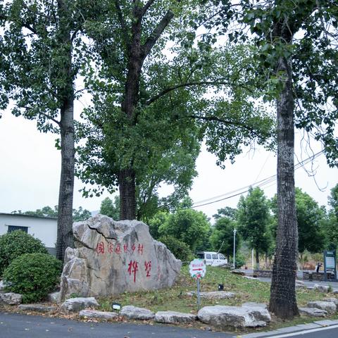 美丽乡村——西岗桦墅周冲（上）