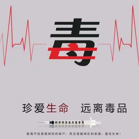 筑牢青春防线，共建无毒校园——高仓中学开展“禁毒宣传，普法教育”主题研学活动