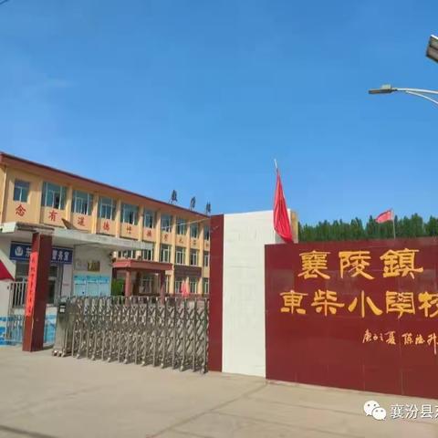 东小“心”引力：以爱育人，向美而行