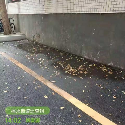 中心南片区日常工作汇报