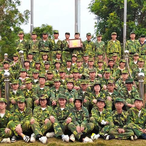 军训记忆：笔尖下的汗水与荣耀