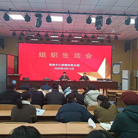党建聚力 筑梦前行 双凤中心校第四党支部召开组织生活会