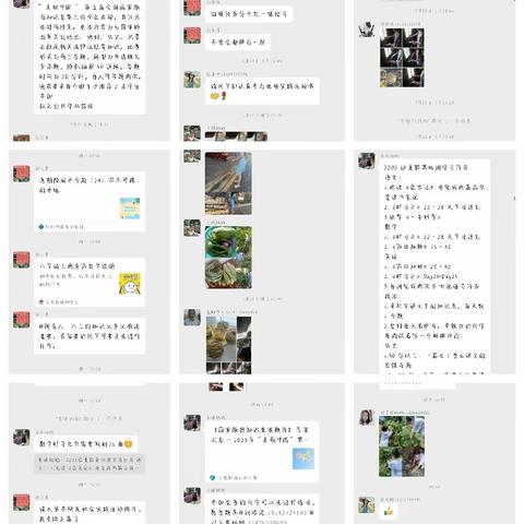 2202班光宗耀祖暑假总结