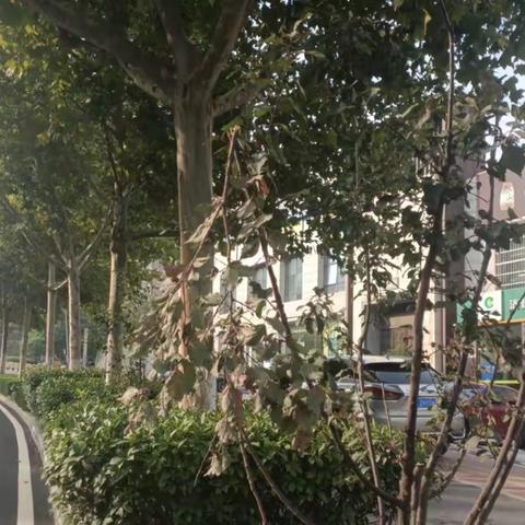 历下养护五标段普利监理10月1日-10月4日工作汇总