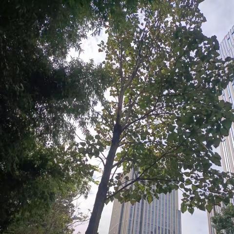 历下养护五标段普利监理10月6日-10月9日工作汇总