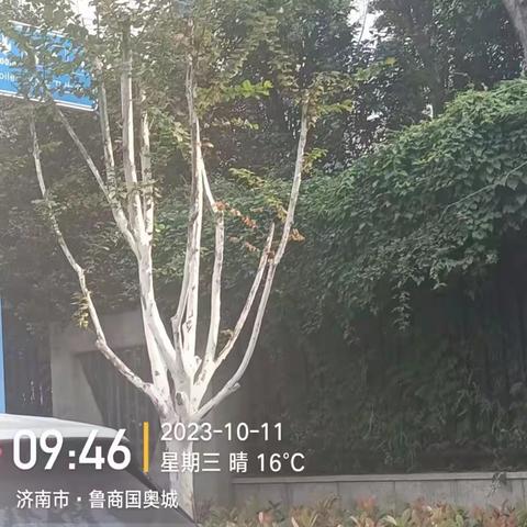 历下养护五标段普利监理10月10日-10月12日工作汇总