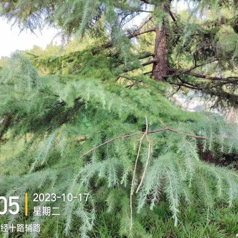 历下养护五标段普利监理10月17日-10月20日工作汇总