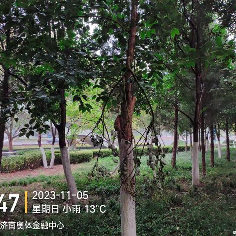 历下养护五标段普利监理11月5日-11月7日工作汇总