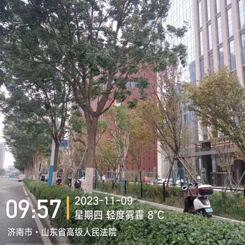 历下养护五标段普利监理11月8日-11月11 日工作汇总