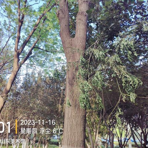 历下养护五标段普利监理11月16日-11月19日工作汇总