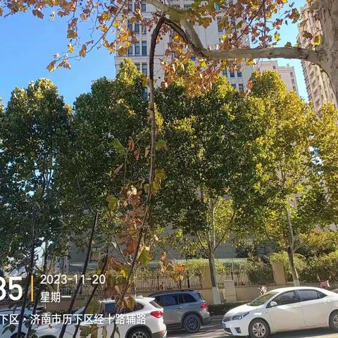 历下养护五标段普利监理11月20日-11月23日工作汇总