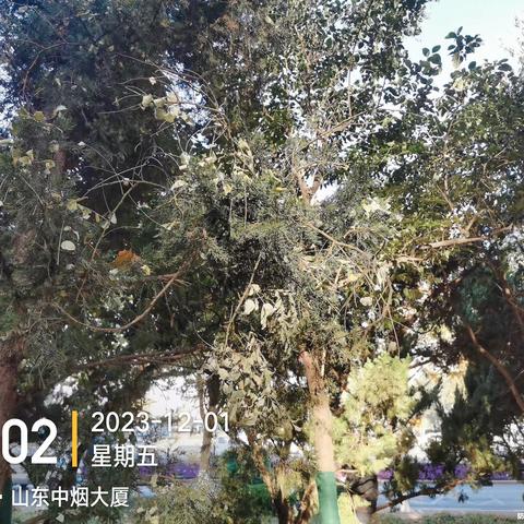 历下养护五标段普利监理11月29日-12月1日工作汇总