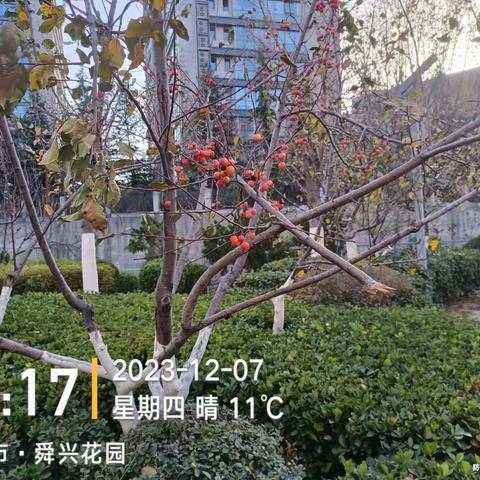 历下养护五标段普利监理12月5日-12月7日工作汇总
