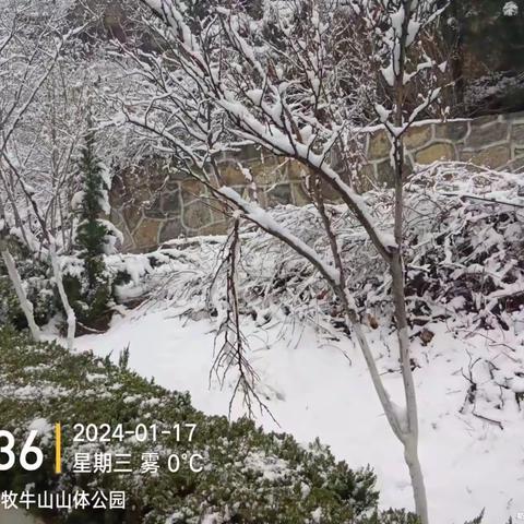 历下养护五标段普利监理2024.1月16日-1月18日工作汇总