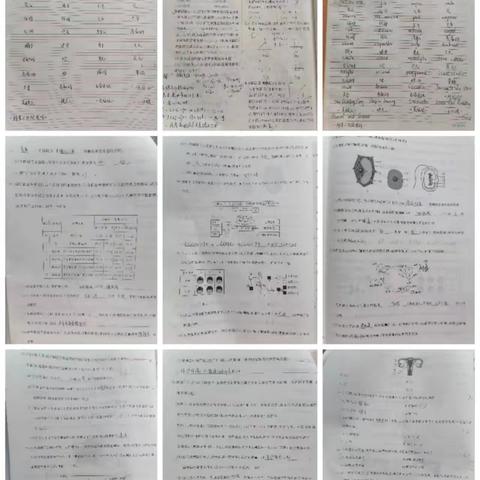 团结组美篇