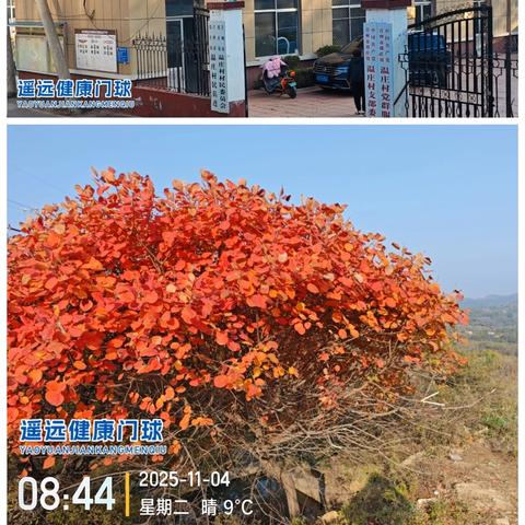 温庄南山红叶浏览游记